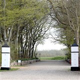 Allé ind til Herregården Lønborggaard